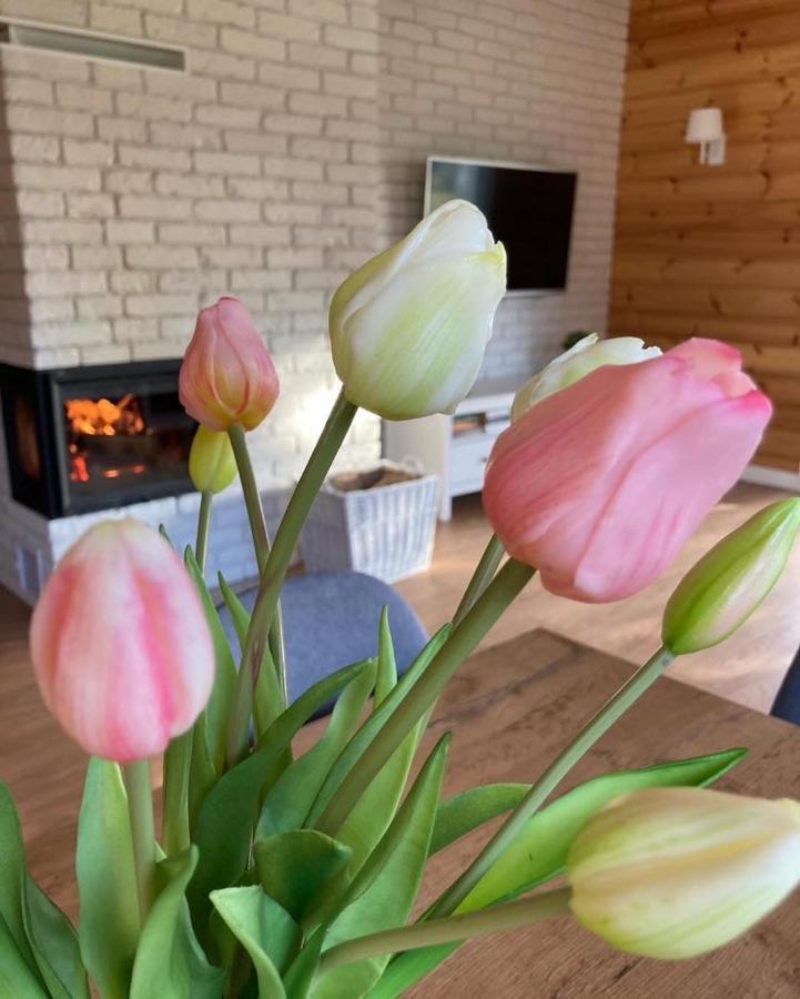Domek Nalesie Dudowizna Bagian luar foto